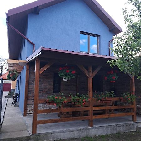 Villa Casa Rustica Saceleana Esterno foto